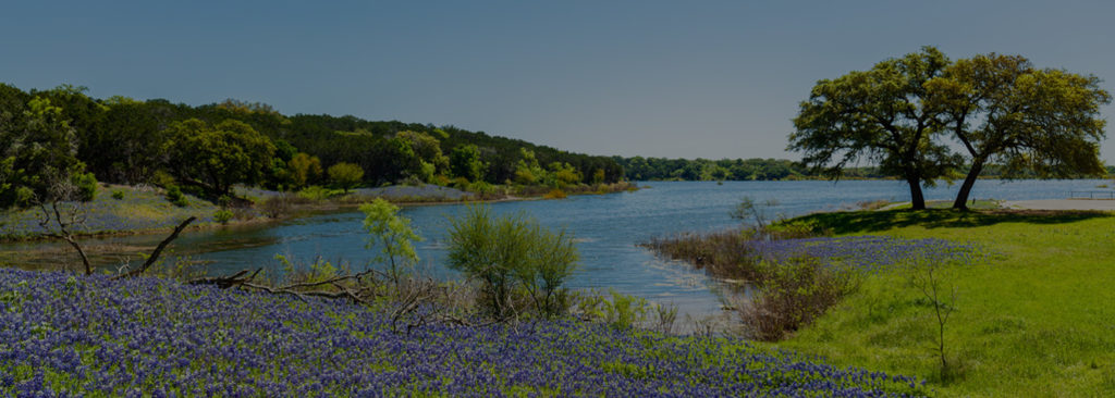 Texas-Bluebonnets-1400×670